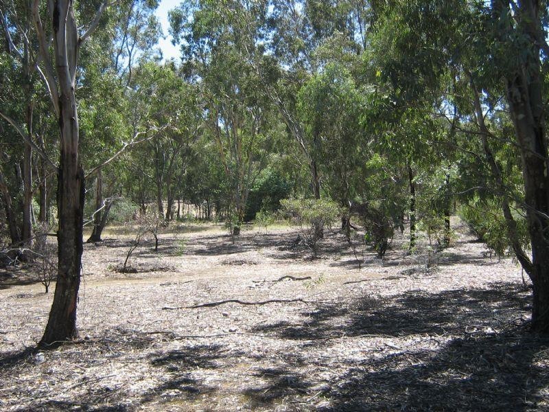 42A Shearing Shed Road, Carapooee VIC 3478