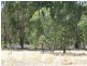 42A Shearing Shed Road, Carapooee VIC 3478