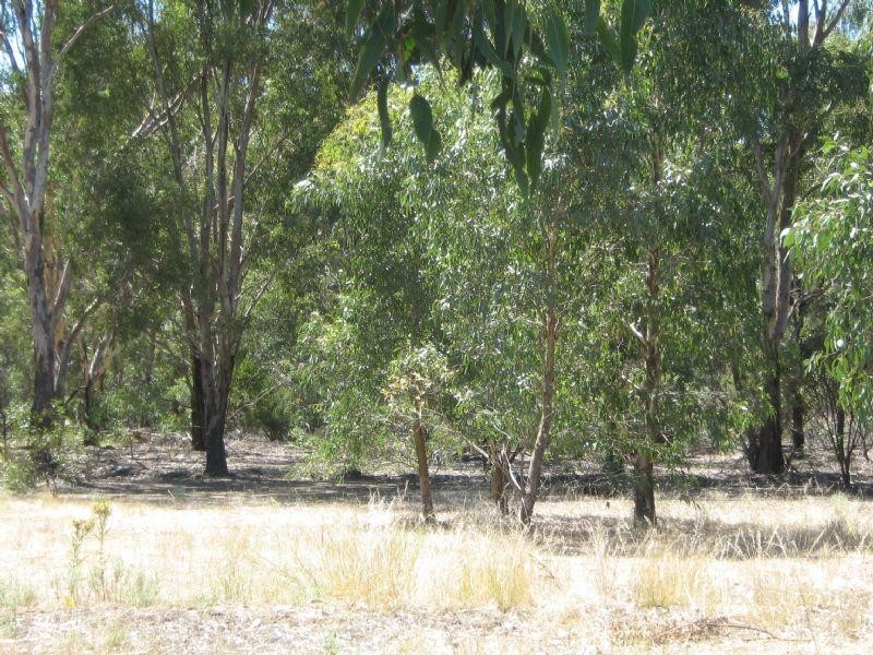 42A Shearing Shed Road, Carapooee VIC 3478