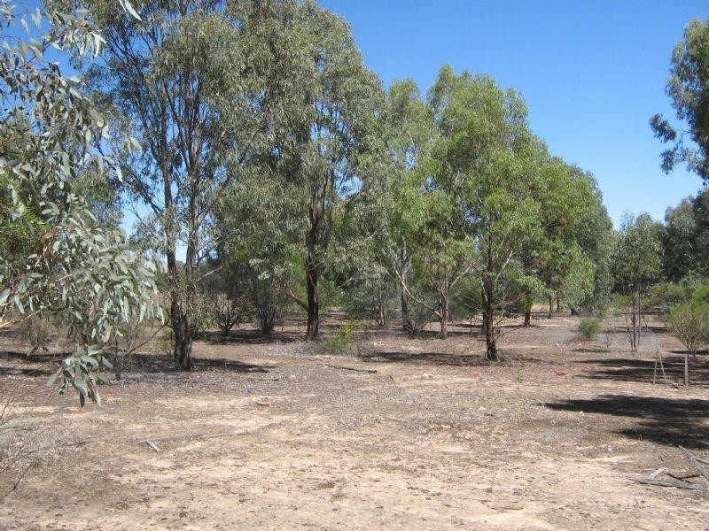 42A Shearing Shed Road, Carapooee VIC 3478