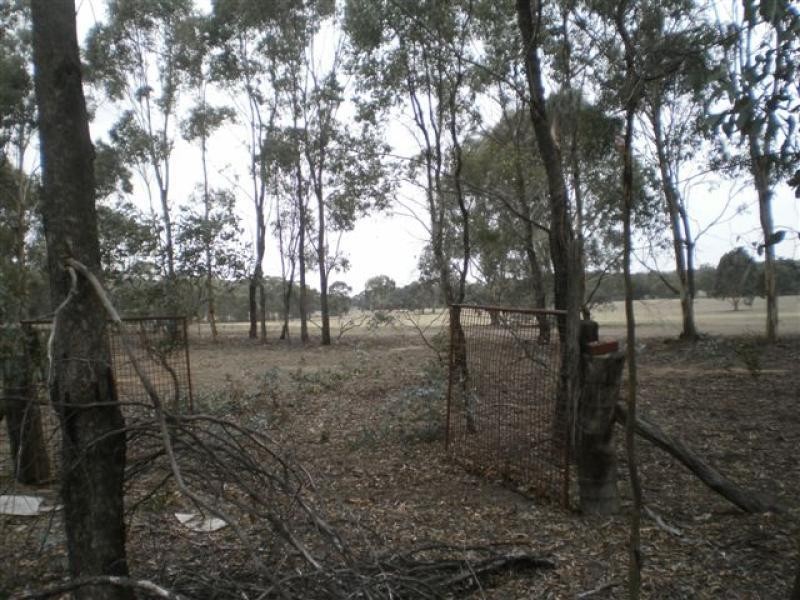 39 Shearing Shed Road, Carapooee VIC 3478