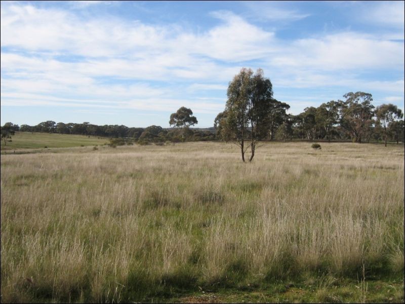 15A Blinkbonnie Road, St Arnaud VIC 3478