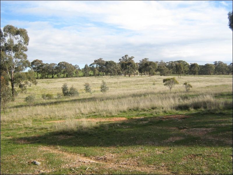 15A Blinkbonnie Road, St Arnaud VIC 3478