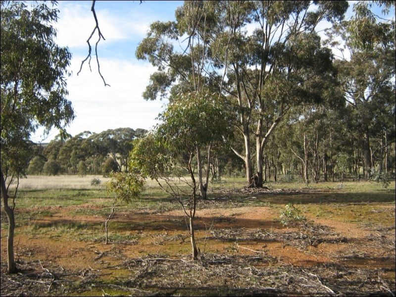 15A Blinkbonnie Road, St Arnaud VIC 3478