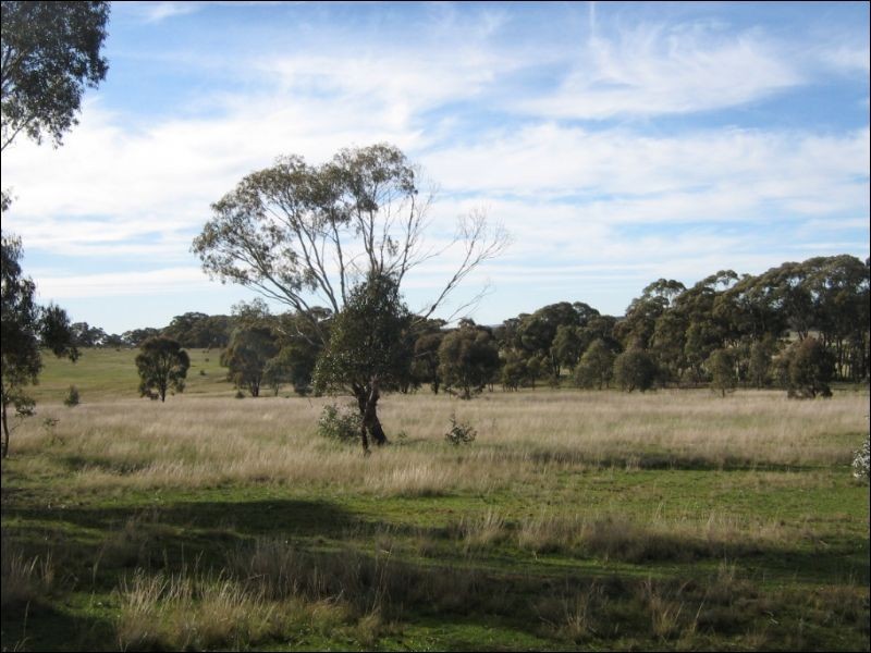 15A Blinkbonnie Road, St Arnaud VIC 3478