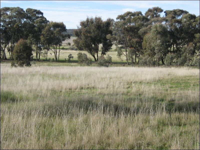 15A Blinkbonnie Road, St Arnaud VIC 3478