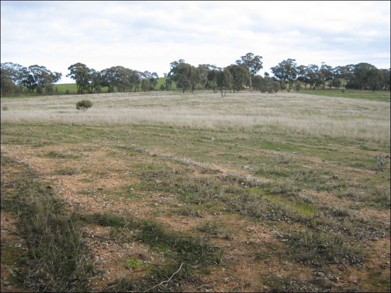 15A Blinkbonnie Road, St Arnaud VIC 3478