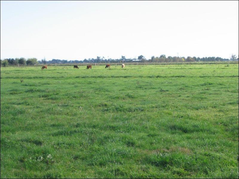 924 Lowe Road, Ballendella VIC 3561