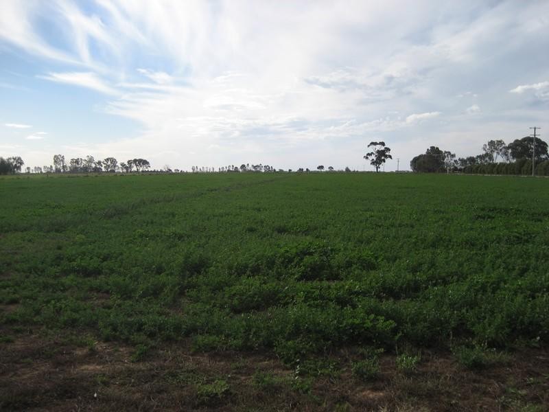 0 McDonald Road, Timmering VIC 3561