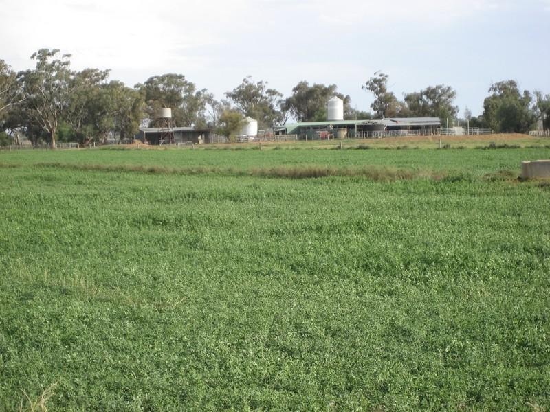 0 McDonald Road, Timmering VIC 3561