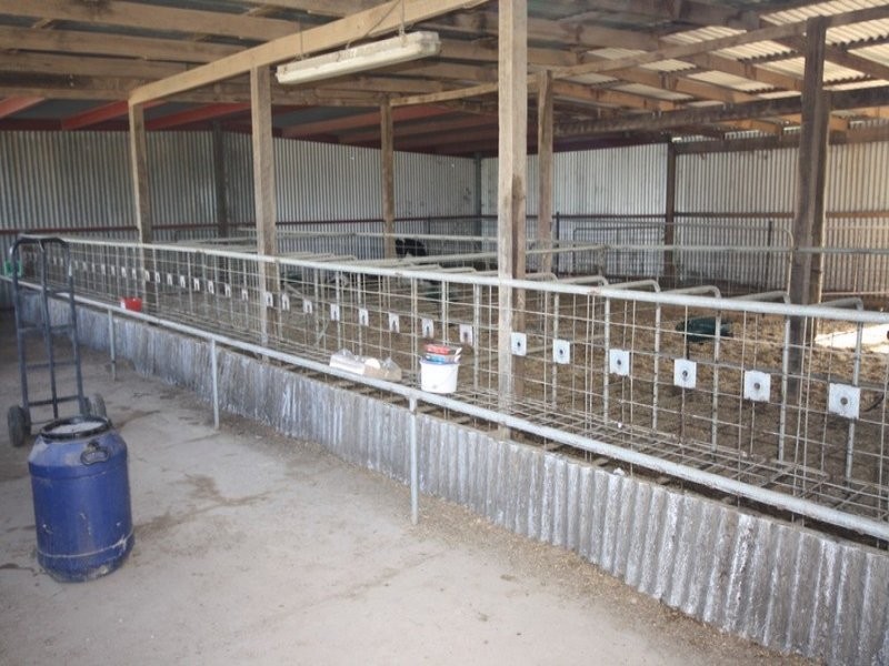 444 Echuca Nanneella Road, Nanneella VIC 3561