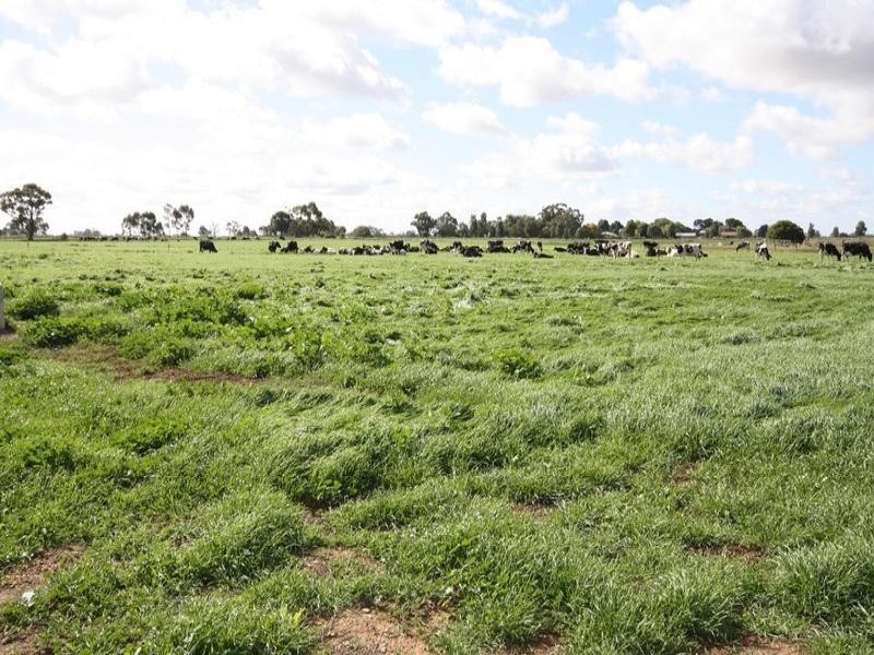 444 Echuca Nanneella Road, Nanneella VIC 3561