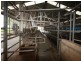 0 Bamawm Hall Road, Bamawm VIC 3561