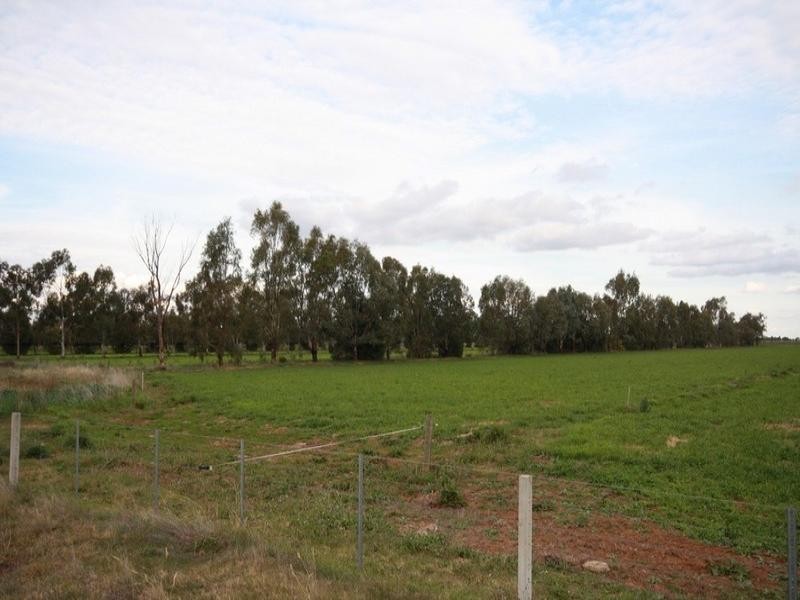 0 Bamawm Hall Road, Bamawm VIC 3561