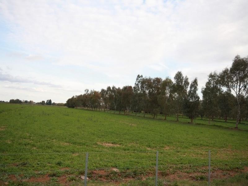 0 Bamawm Hall Road, Bamawm VIC 3561