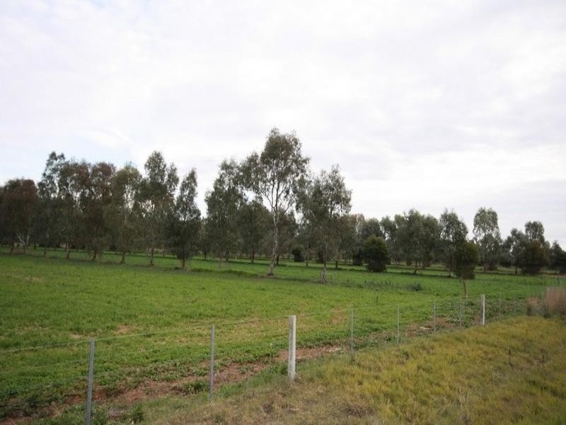 0 Bamawm Hall Road, Bamawm VIC 3561
