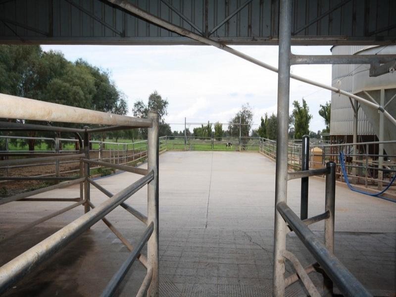 0 Bamawm Hall Road, Bamawm VIC 3561
