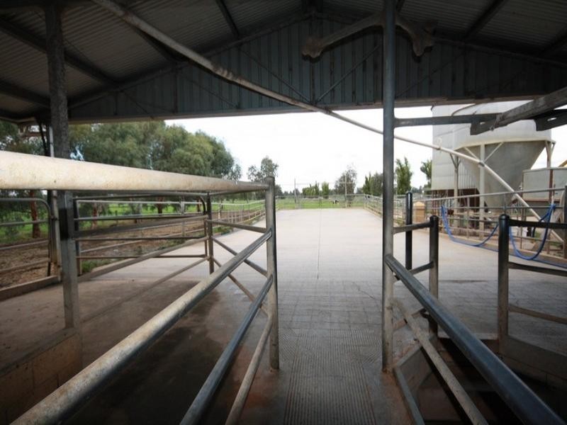 0 Bamawm Hall Road, Bamawm VIC 3561