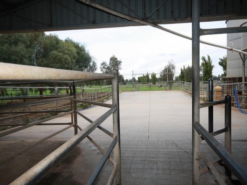 0 Bamawm Hall Road, Bamawm VIC 3561