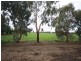 0 Bamawm Hall Road, Bamawm VIC 3561