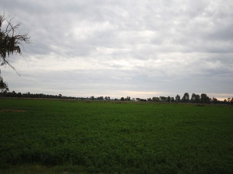 0 Minard Lane, Bamawm VIC 3561