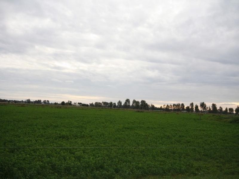 0 Minard Lane, Bamawm VIC 3561