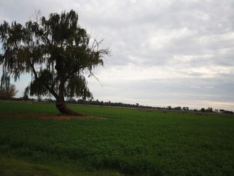 0 Minard Lane, Bamawm VIC 3561