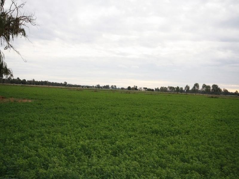 0 Minard Lane, Bamawm VIC 3561