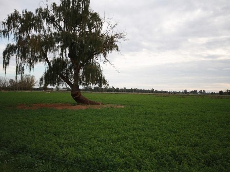 0 Minard Lane, Bamawm VIC 3561