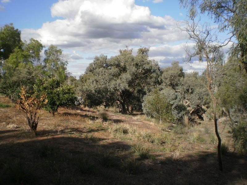 992 Banyena Silo Road, Banyena VIC 3388