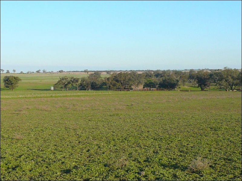 Corack East VIC 3480