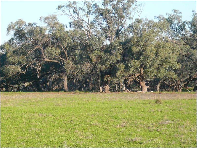 Corack East VIC 3480