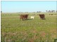 Corack East VIC 3480