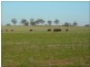 Corack East VIC 3480