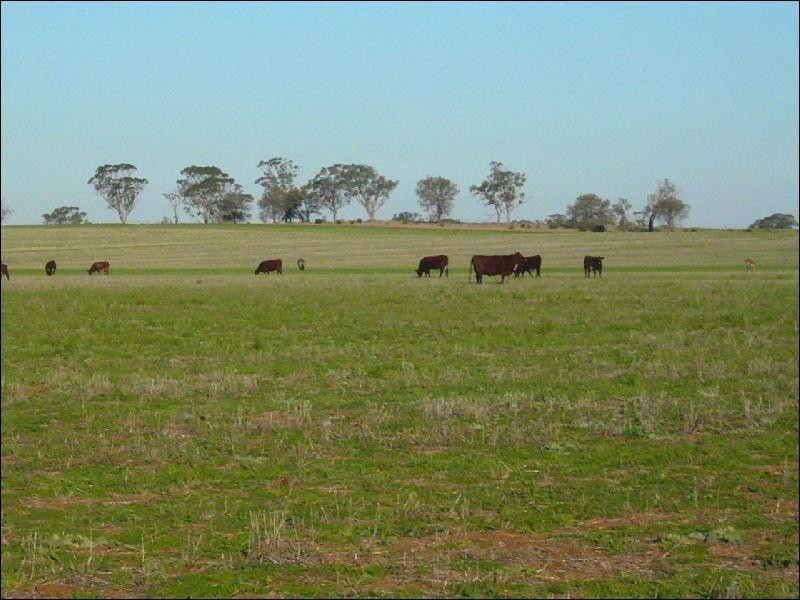 Corack East VIC 3480