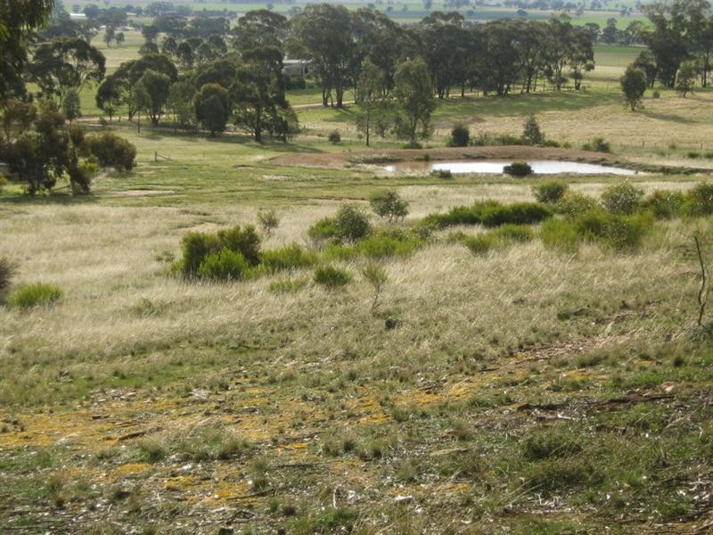 284 Woolpack Road, St Arnaud VIC 3478