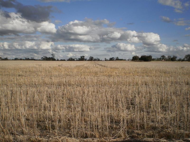 992 Banyena Silo Road, Banyena VIC 3388