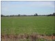 1857 Middleton Road, Lockington VIC 3563