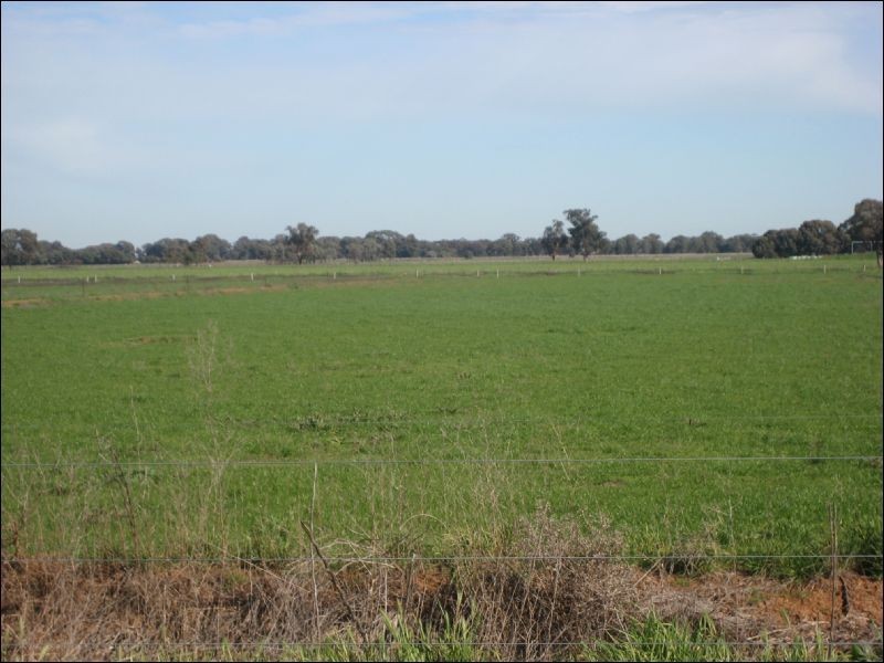 1857 Middleton Road, Lockington VIC 3563