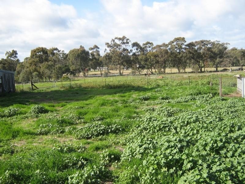 15A Burnside Road, St Arnaud VIC 3478