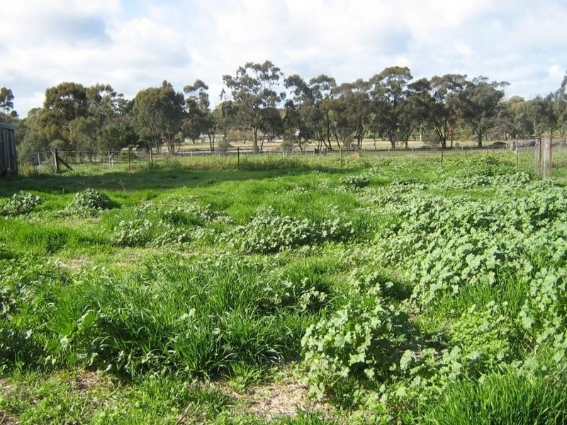 15A Burnside Road, St Arnaud VIC 3478