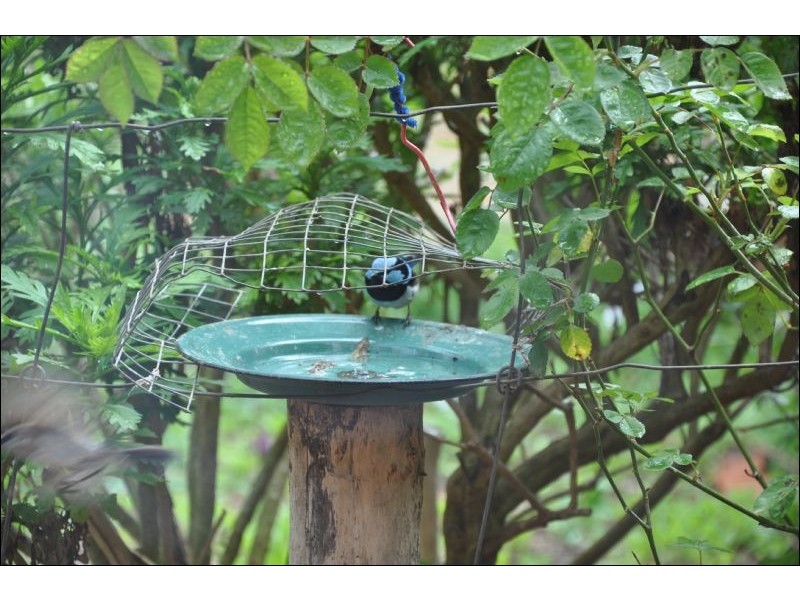 5130 Heathcote- Rochester Road, Rochester VIC 3561