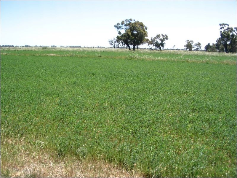 0 Lowrie Road, Bamawm VIC 3561