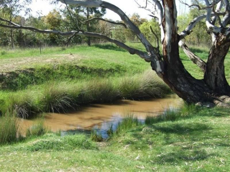 13b Kobyboyn Road, Seymour VIC 3660
