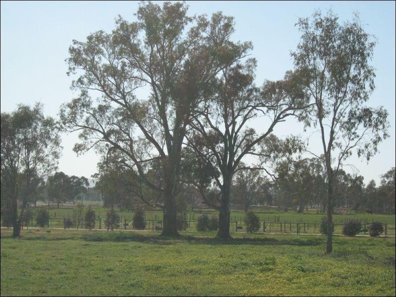13b Kobyboyn Road, Seymour VIC 3660