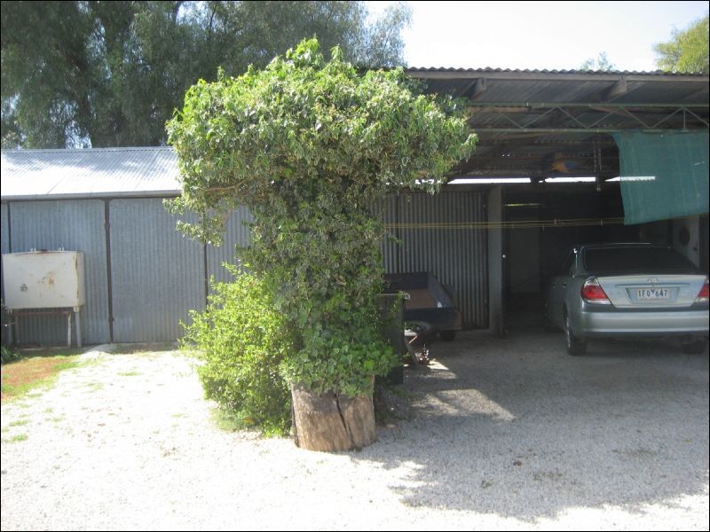 11 Joyce Street, Lockington VIC 3563