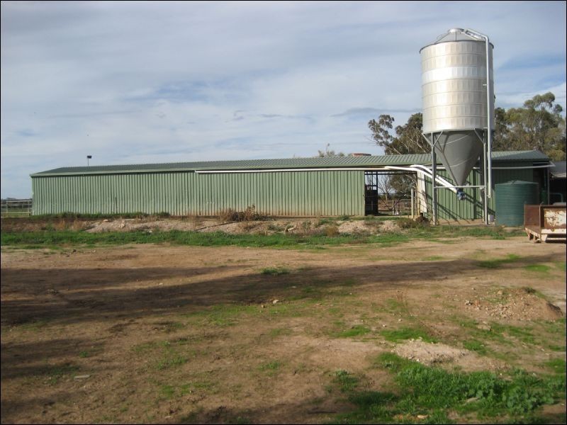 00 McDonald Road, Rochester VIC 3561