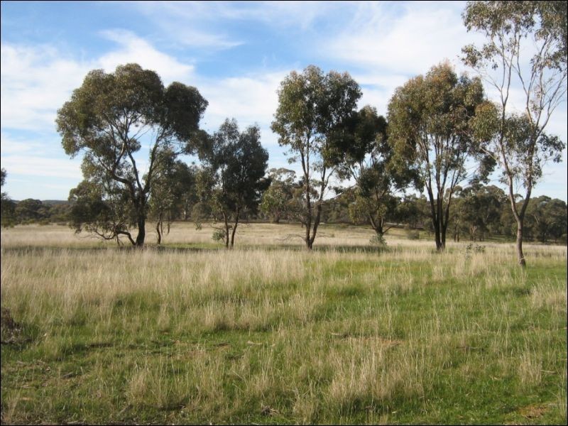 15a Blinkbonnie Road, St Arnaud VIC 3478