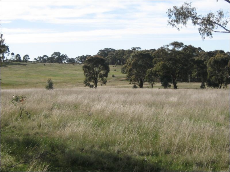 15a Blinkbonnie Road, St Arnaud VIC 3478