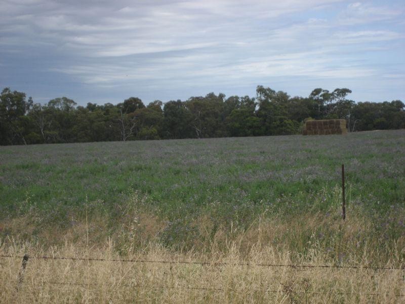 00 Elmore Minto Road, Elmore VIC 3558